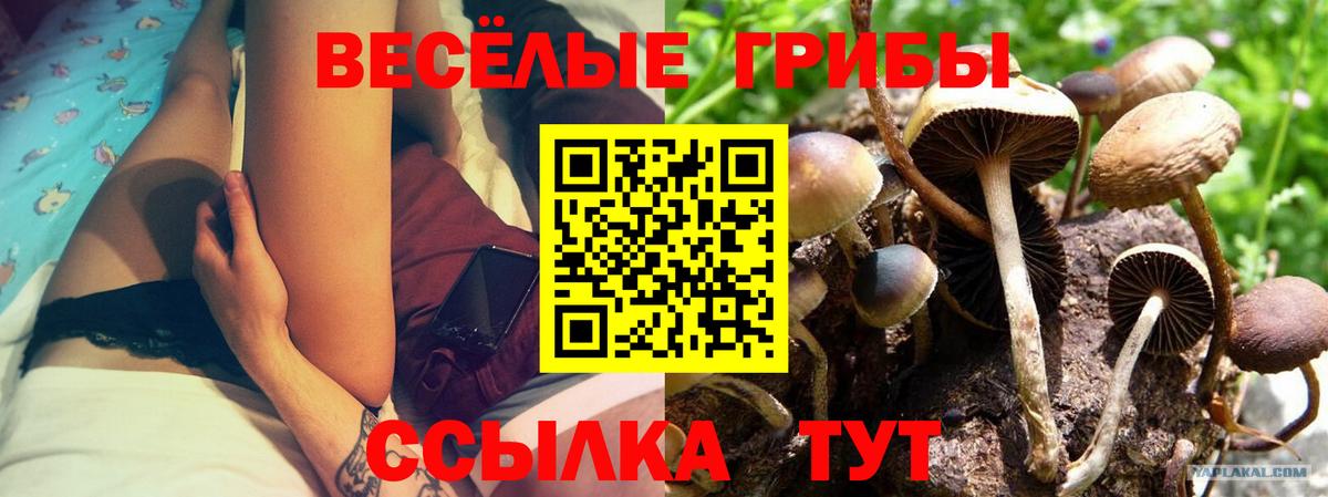 Дубна  Псилоцибиновые грибы мицелий  Вход с VPN 